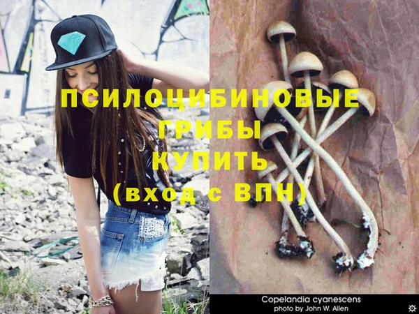 круглые Волосово